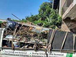 Best Basement Cleanout  in Barton, NM